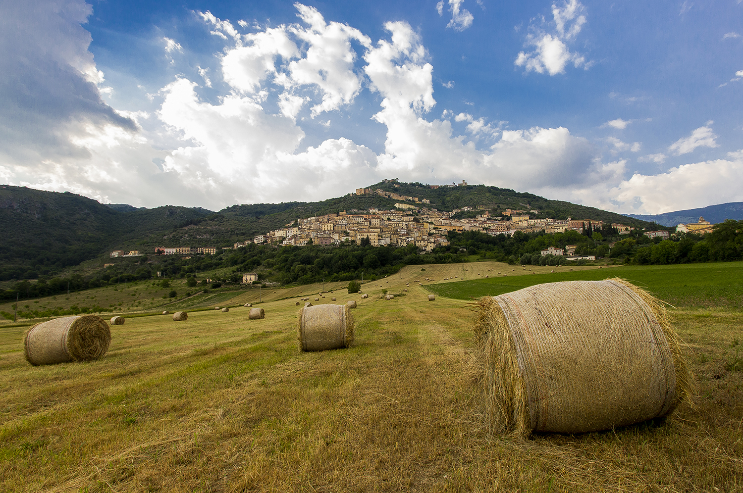 Comune di Alvito - Comune di Alvito