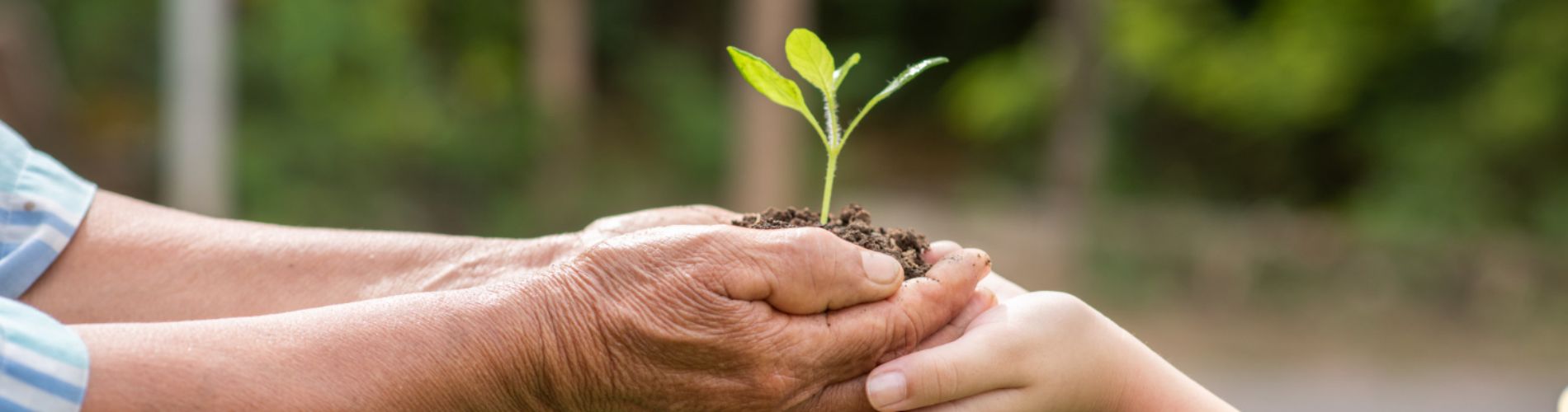 Commissione Consiliare Servizi Sociali, Sanità ed Ambiente